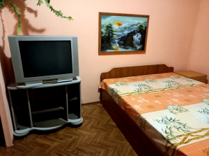 Дача №1